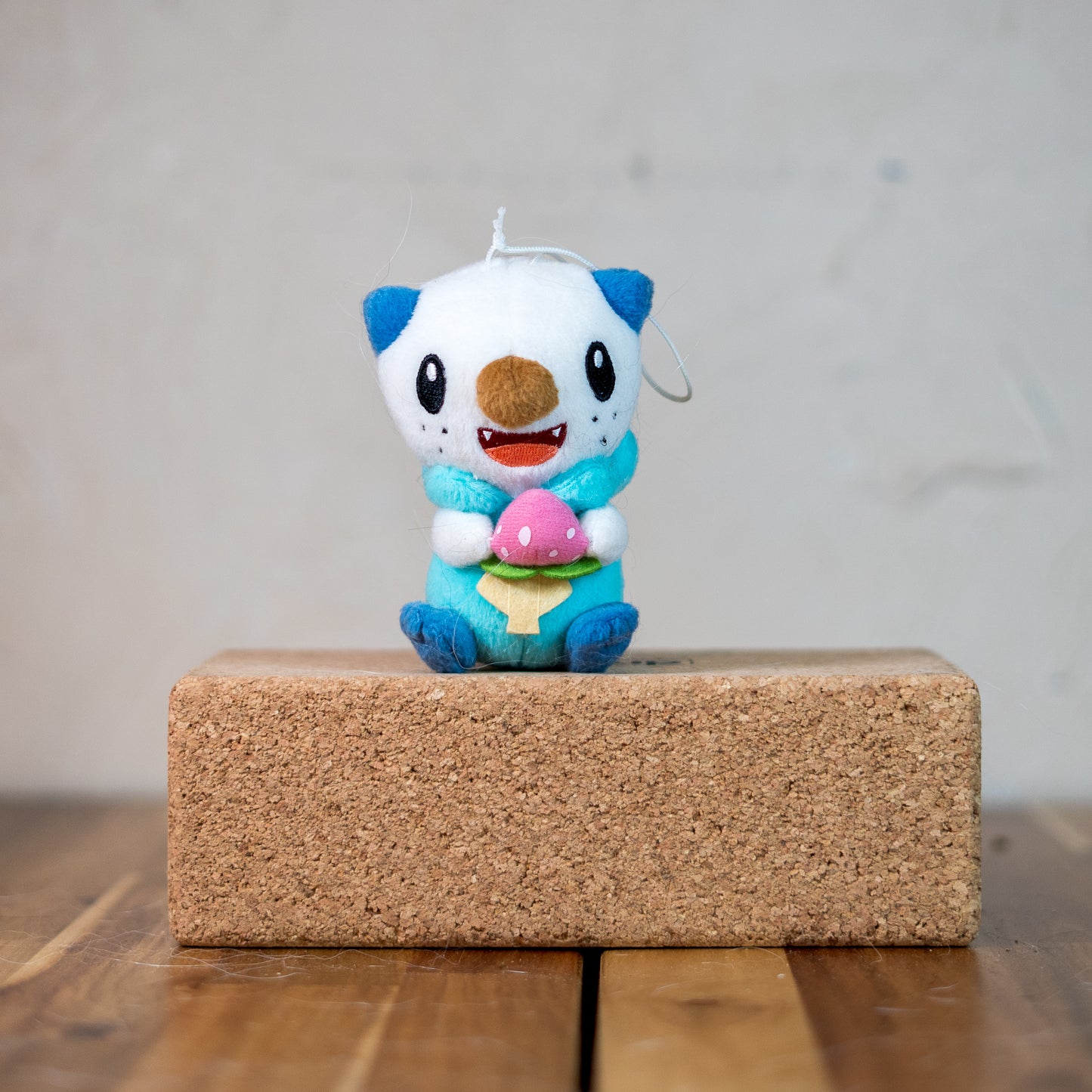 Oshawott