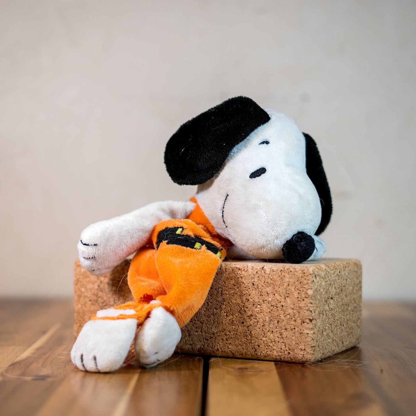 Pumpkin Snoopy