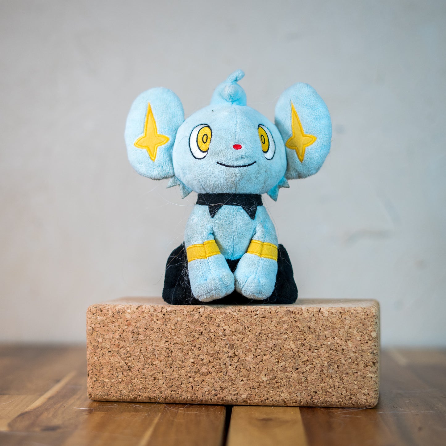 Shinx